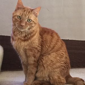 Meet your Posher, Beth